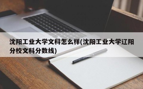 沈阳工业大学文科怎么样(沈阳工业大学辽阳分校文科分数线)