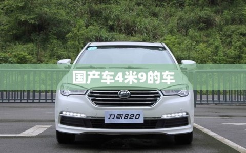 国产车4米9的车