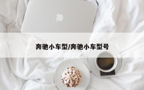 奔驰小车型/奔驰小车型号