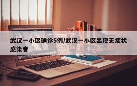 武汉一小区确诊5例/武汉一小区出现无症状感染者