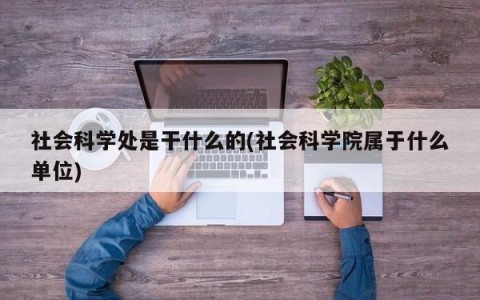 社会科学处是干什么的(社会科学院属于什么单位)