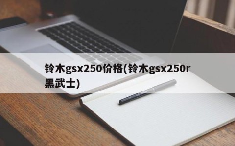 铃木gsx250价格(铃木gsx250r黑武士)
