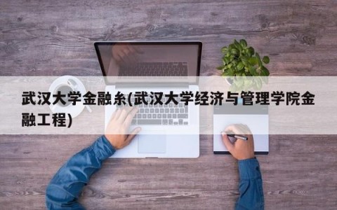 武汉大学金融糸(武汉大学经济与管理学院金融工程)