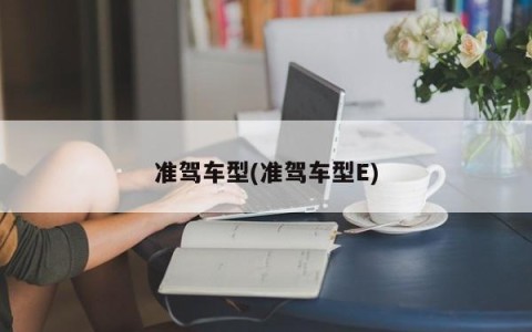 准驾车型(准驾车型E)
