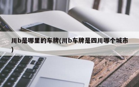 川b是哪里的车牌(川b车牌是四川哪个城市)