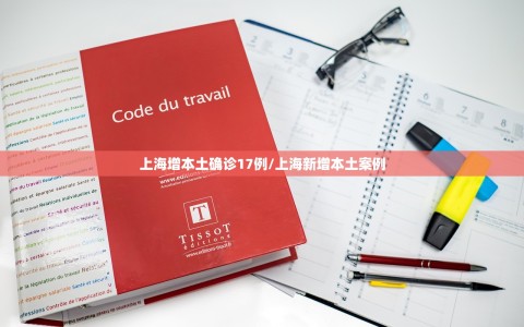 上海增本土确诊17例/上海新增本土案例
