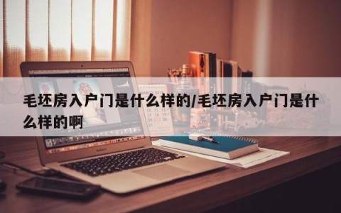 毛坯房入户门是什么样的/毛坯房入户门是什么样的啊