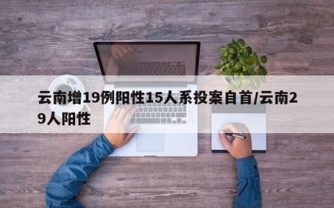 云南增19例阳性15人系投案自首/云南29人阳性