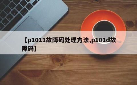 【p1011故障码处理方法,p101d故障码】
