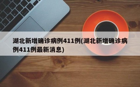 湖北新增确诊病例411例(湖北新增确诊病例411例最新消息)
