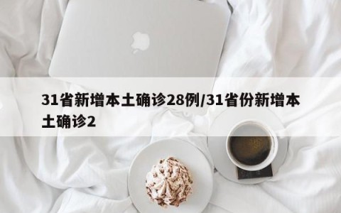 31省新增本土确诊28例/31省份新增本土确诊2