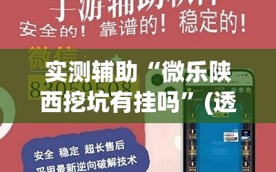 实测辅助“微乐陕西挖坑有挂吗”(透视挂)辅助下载教程