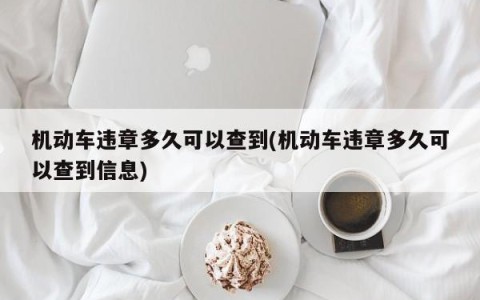 机动车违章多久可以查到(机动车违章多久可以查到信息)