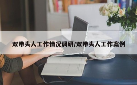 双带头人工作情况调研/双带头人工作案例