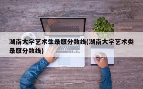 湖南大学艺术生录取分数线(湖南大学艺术类录取分数线)