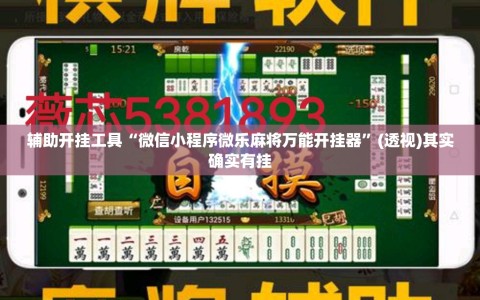 辅助开挂工具“微信小程序微乐麻将万能开挂器”(透视)其实确实有挂