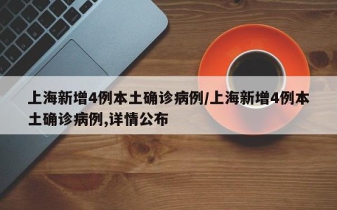 上海新增4例本土确诊病例/上海新增4例本土确诊病例,详情公布