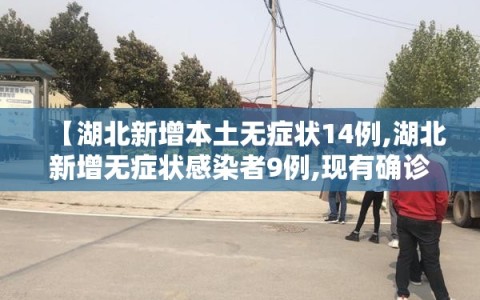 【湖北新增本土无症状14例,湖北新增无症状感染者9例,现有确诊病例6例】
