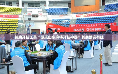 辅助开挂工具“微乐山东麻将开挂神器”其实确实有挂