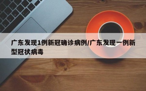 广东发现1例新冠确诊病例/广东发现一例新型冠状病毒