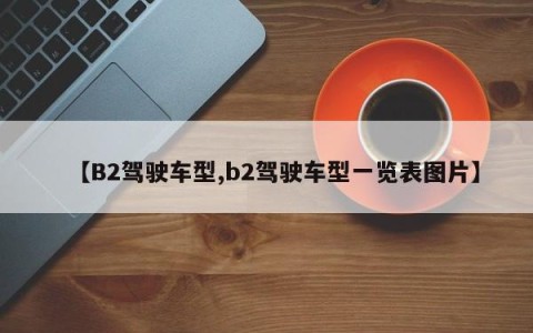 【B2驾驶车型,b2驾驶车型一览表图片】