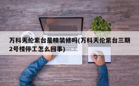 万科天伦紫台是精装修吗(万科天伦紫台三期2号楼停工怎么回事)