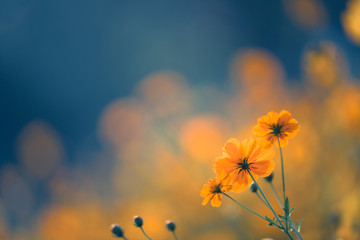 开挂辅助工具“微信里打麻将有挂吗”开挂辅助详细