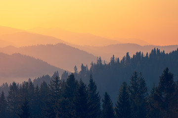 教程辅助!“微乐天津麻将有没有开挂神器”(透视)其实确实有挂