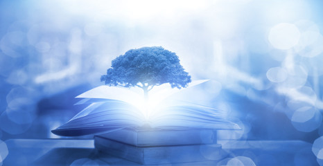 软件分享“手机打麻将总输钱什么方法破解”(作弊)辅助透视教程