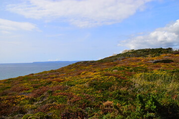 推荐一款“哥哥跑得快开挂”(详细开挂教程)