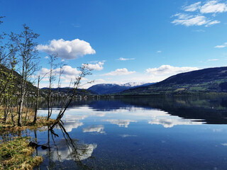 实测教程”手机跑得快能开挂吗”开挂(透视)辅助教程