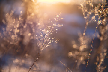 最新一款“随便玩红拐弯有挂吗”科技辅助神器手机版教程