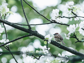 使用分享!闽乐茶楼十三水有挂吗？”分享用挂教程