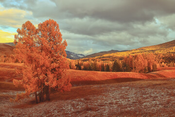 最新版本脚本“博乐填大坑有挂吗”(免费)开挂辅助教学(最新辅助开挂教程)