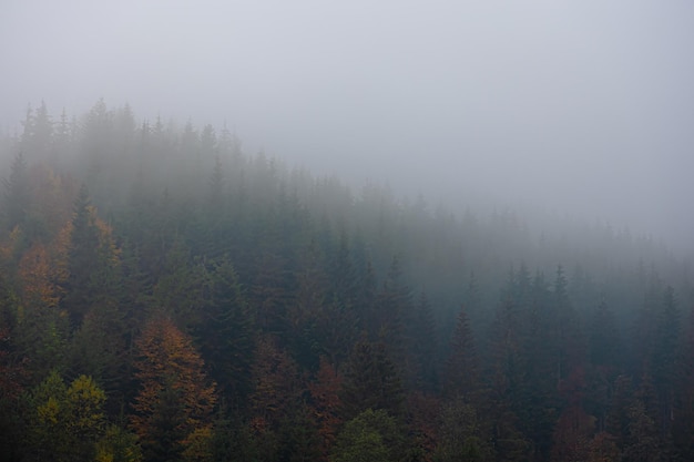 教程分享“欢聚斗地主水鱼怎么提高胜率”其实确实有挂