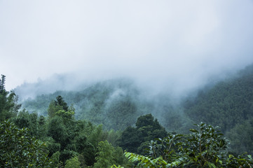 真实辅助“中至余干作弊”开挂详细教程