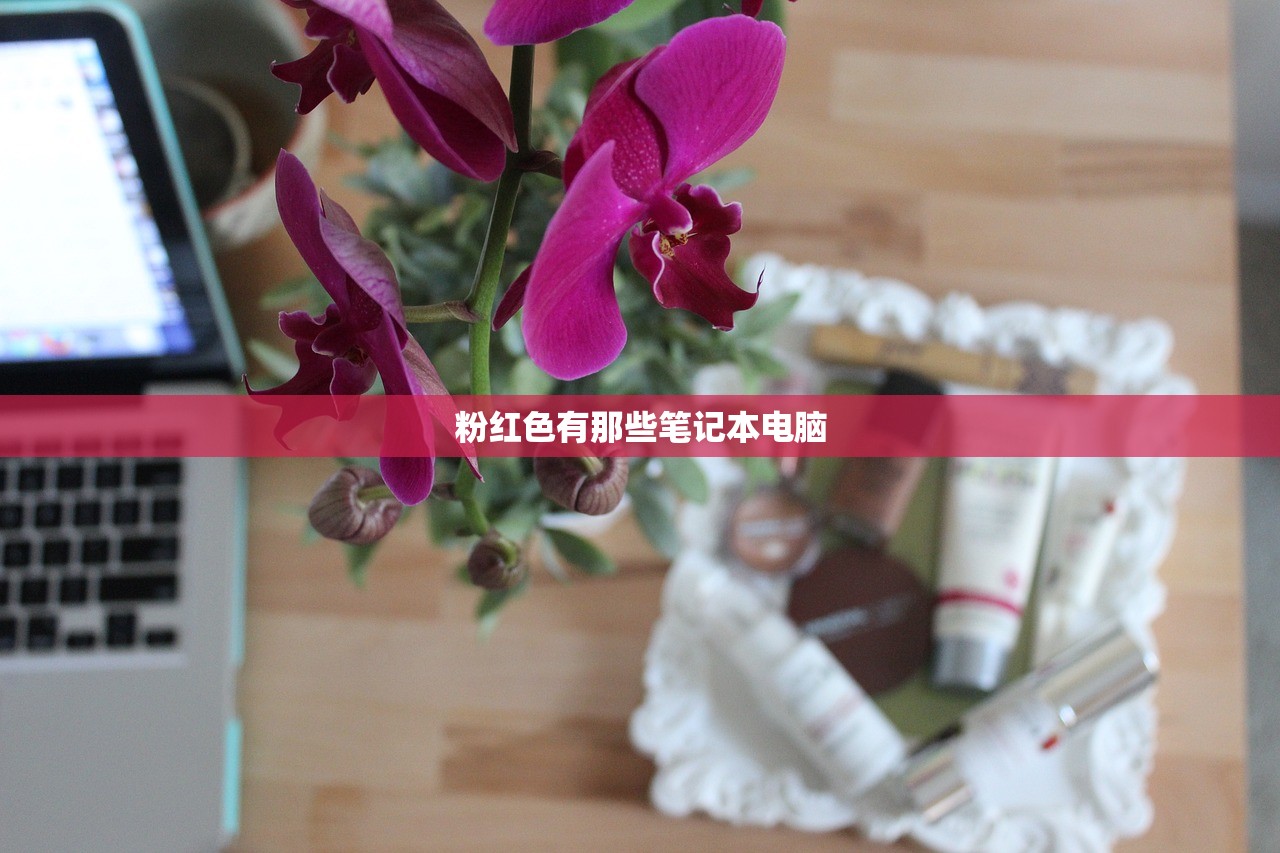 粉红色有那些笔记本电脑 粉红色有那些笔记本电脑
