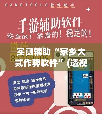实测辅助“家乡大贰作弊软件”(透视挂)辅助下载教程