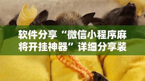 软件分享“微信小程序麻将开挂神器”详细分享装挂步骤