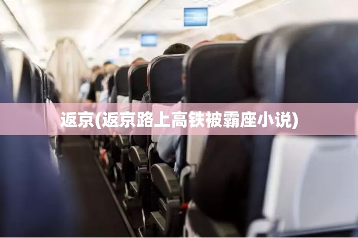 返京(返京路上高铁被霸座小说)