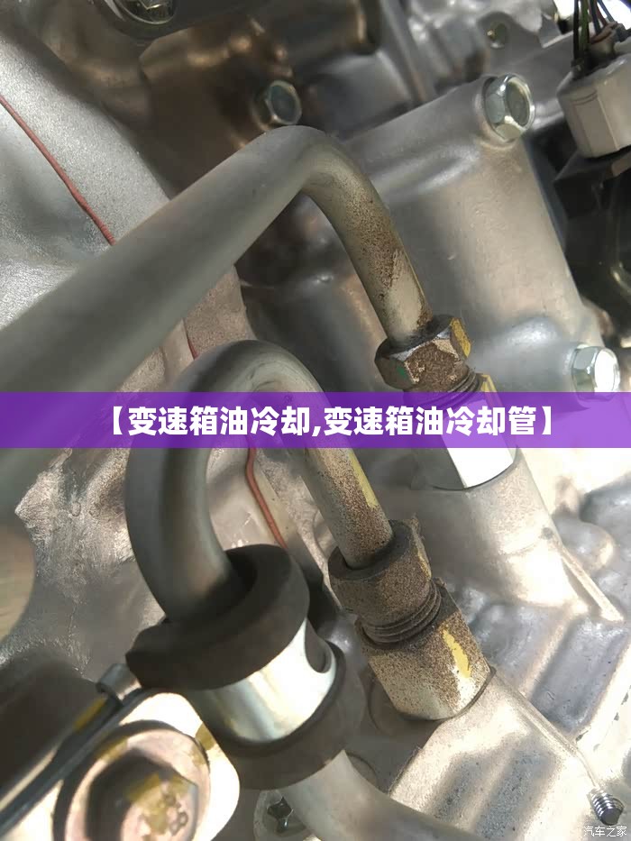 【变速箱油冷却,变速箱油冷却管】 【变速箱油冷却,变速箱油冷却管】