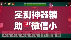实测神器辅助“微信小程序微乐麻将开挂神器下载”(透视)其实确实有挂
