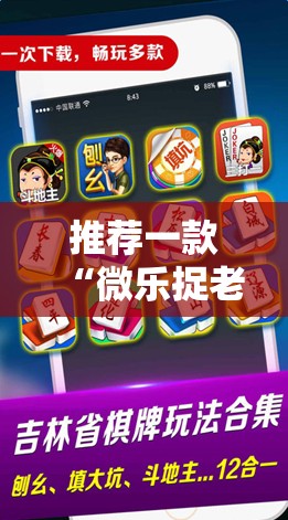 推荐一款“微乐捉老麻子开挂教程”详细分享装挂步骤
