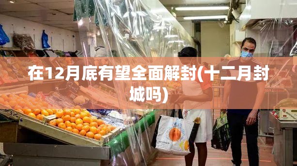 在12月底有望全面解封(十二月封城吗) 在12月底有望全面解封(十二月封城吗)