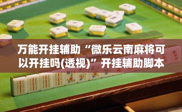 万能开挂辅助“微乐云南麻将可以开挂吗(透视)”开挂辅助脚本+详细开挂安装教程