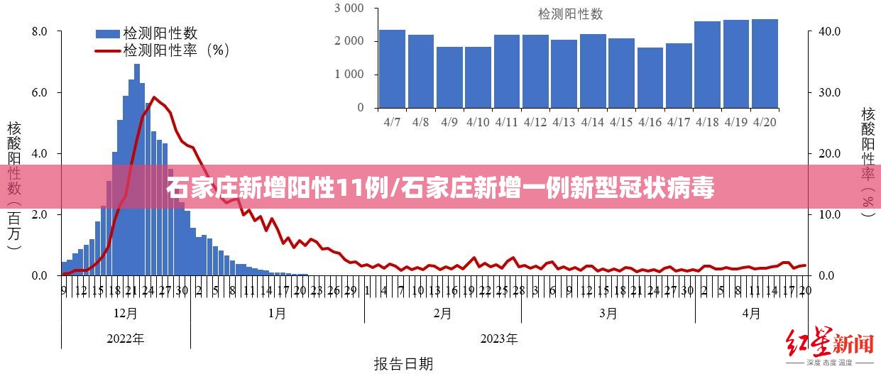 石家庄新增阳性11例/石家庄新增一例新型冠状病毒 石家庄新增阳性11例/石家庄新增一例新型冠状病毒