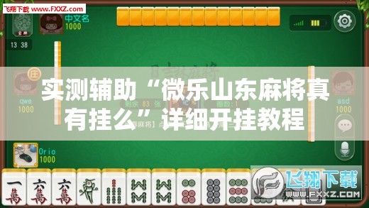 实测辅助“微乐山东麻将真有挂么”详细开挂教程
