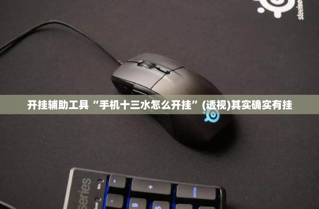 开挂辅助工具“手机十三水怎么开挂”(透视)其实确实有挂