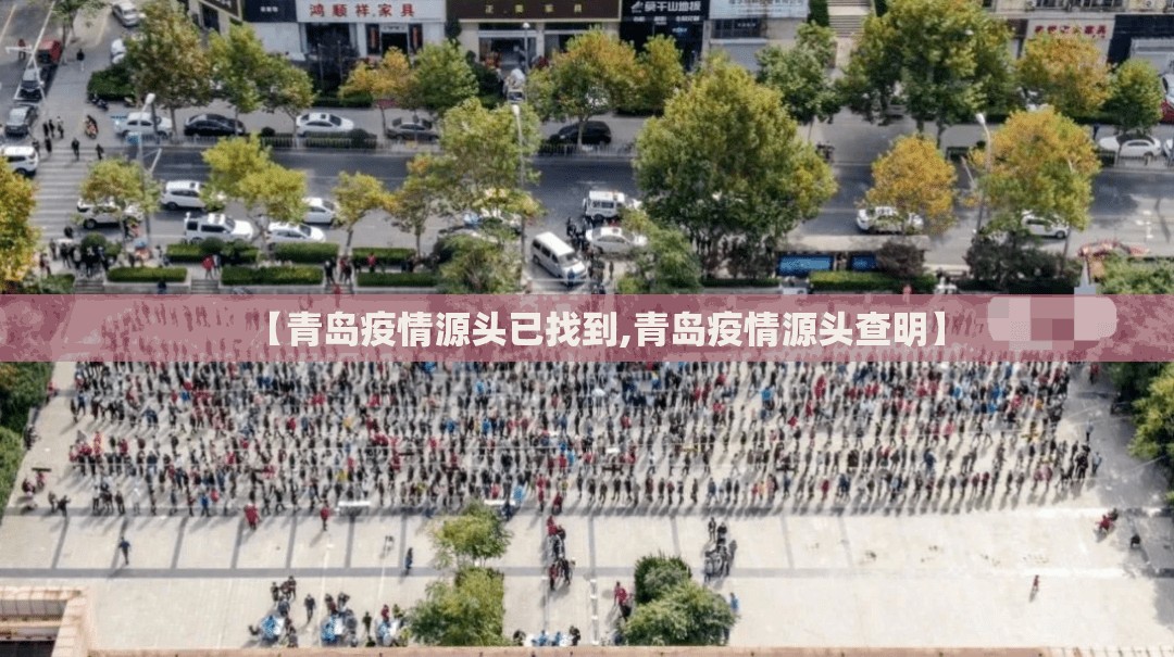 【青岛疫情源头已找到,青岛疫情源头查明】