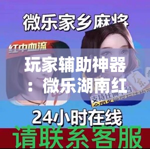 玩家辅助神器：微乐湖南红中麻将免费开挂	”开挂详细教程